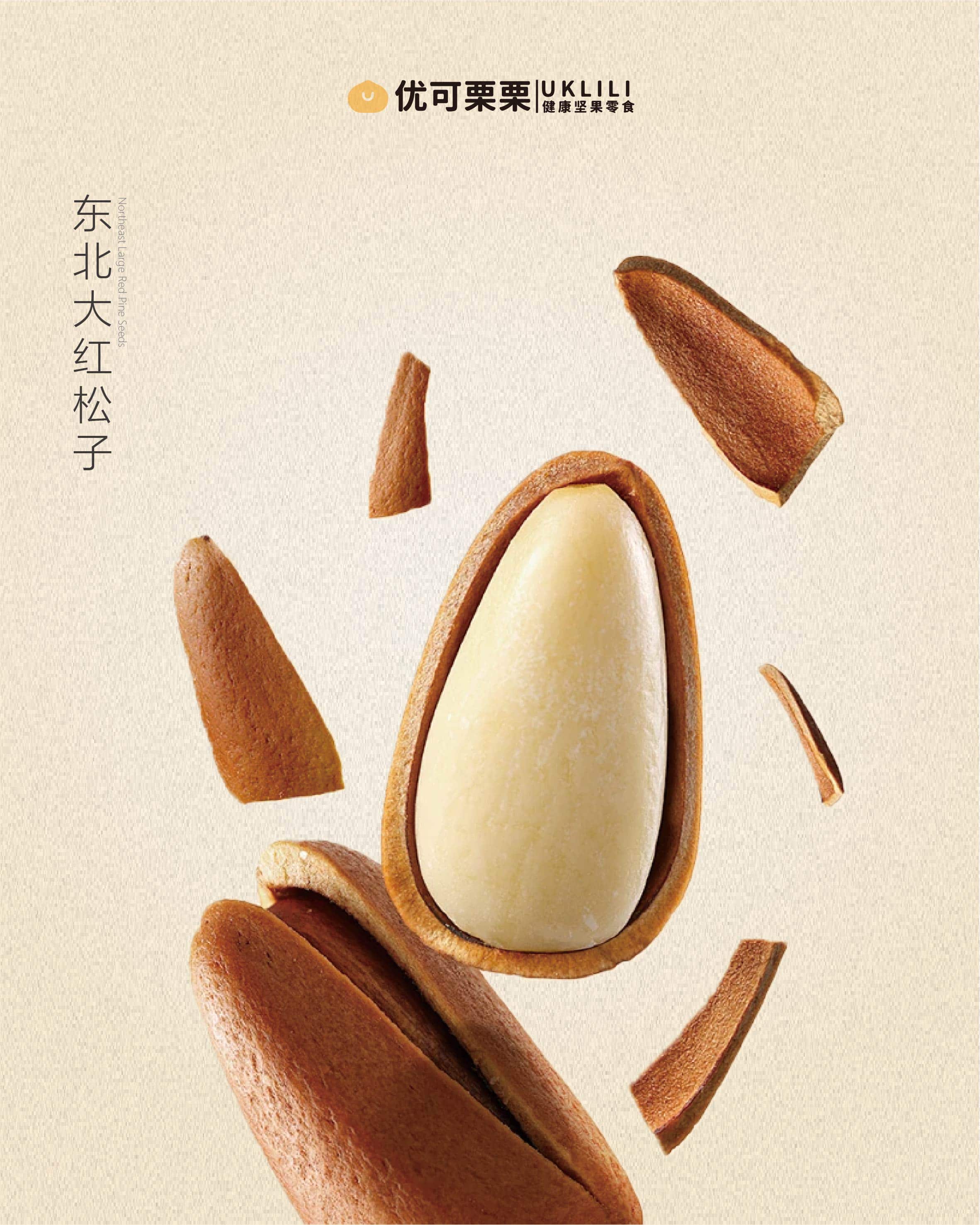 东北大红松子